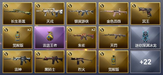 穿越火线（CF）1王者武器 27V武器 5皮肤 可排位 传奇