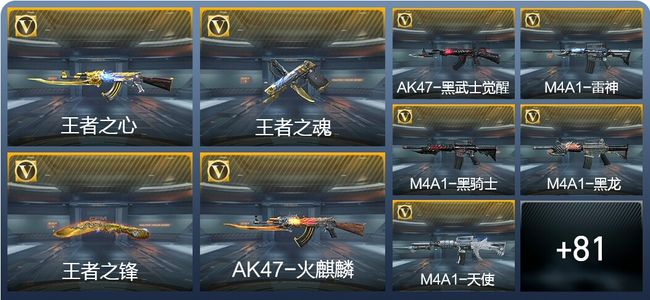 穿越火线：枪战王者V5 4王者武器 90英雄武器 2英雄角色 132万化 枪王S