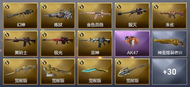 穿越火线（CF）2王者武器 1炫金武器 30V武器 2V角色 13皮肤 可排位 新锐