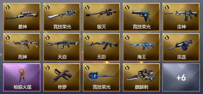 穿越火线（CF）17V武器 1V角色 10皮肤 可排位 专家