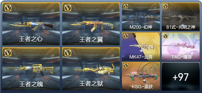 穿越火线：枪战王者V6 8王者武器 106英雄武器 6英雄角色 266万化 专家