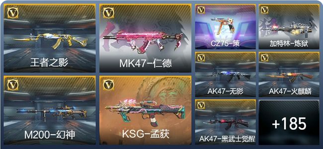 穿越火线：枪战王者V6 6王者武器 218英雄武器 5英雄角色 358万化 专家S