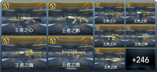 穿越火线：枪战王者V9 35王者武器 255英雄武器 13英雄角色 312万化 专家S