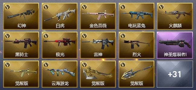 穿越火线（CF）1传说武器 1王者武器 13皮肤 可排位 新锐