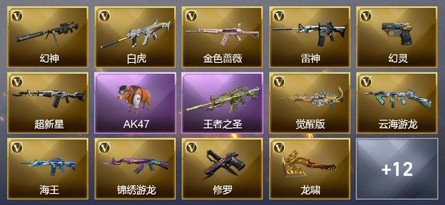 穿越火线（CF）1传说武器 1王者武器 6皮肤 可排位 新锐