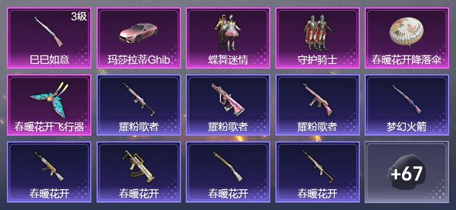 和平精英1载具 1升级枪 2粉装 1飞行器 39枪皮 49套装 17354热力 2印记 黄金