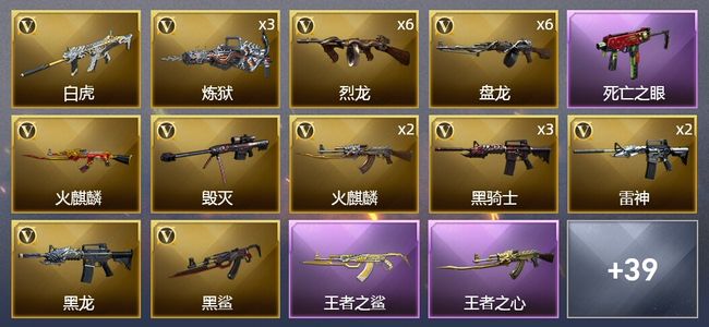 穿越火线（CF）5王者武器 3炫金武器 54V武器 2V角色 13皮肤 可排位 新锐