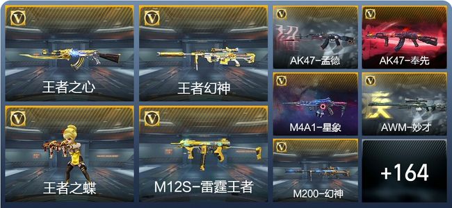 穿越火线：枪战王者13王者武器 173英雄武器 6英雄角色 272万化 专家S