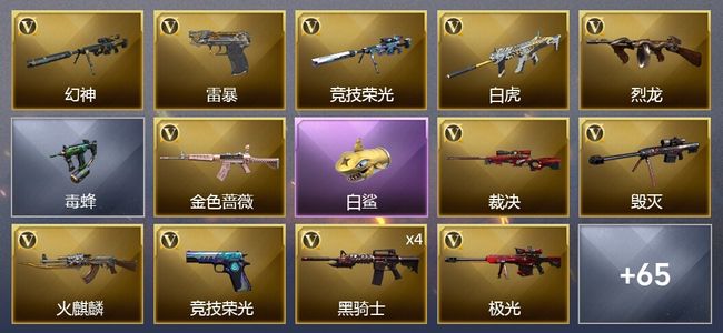 穿越火线（CF）4王者武器 59V武器 2V角色 29皮肤 可排位 传奇
