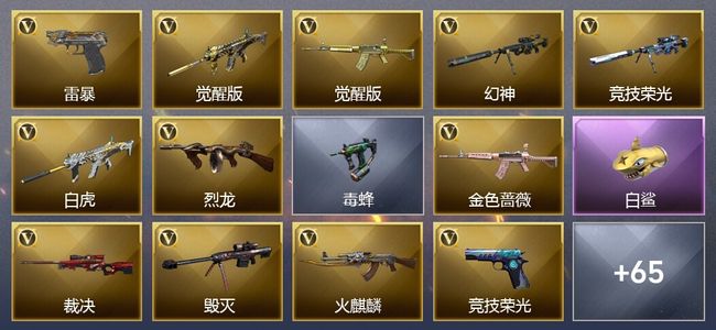 穿越火线（CF）4王者武器 59V武器 2V角色 29皮肤 可排位 传奇