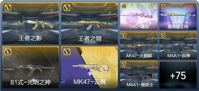 穿越火线：枪战王者V5 3王者武器 94英雄武器 1英雄角色 161万化 枪皇SS