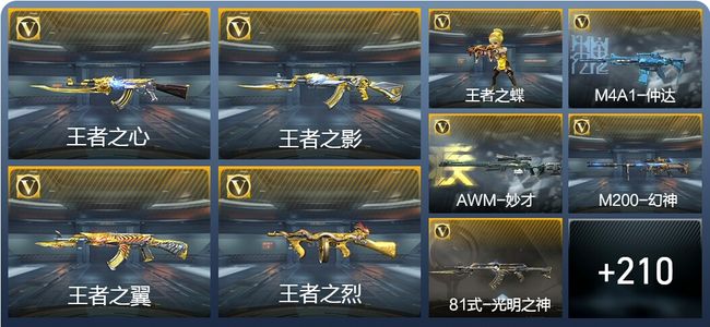 穿越火线：枪战王者V6 19王者武器 219英雄武器 4英雄角色 284万化 专家S