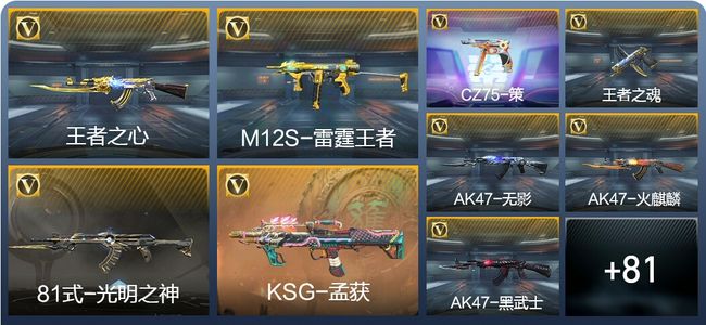 穿越火线：枪战王者V3 172英雄武器 新锐