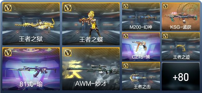 穿越火线：枪战王者V6 162英雄武器 新锐