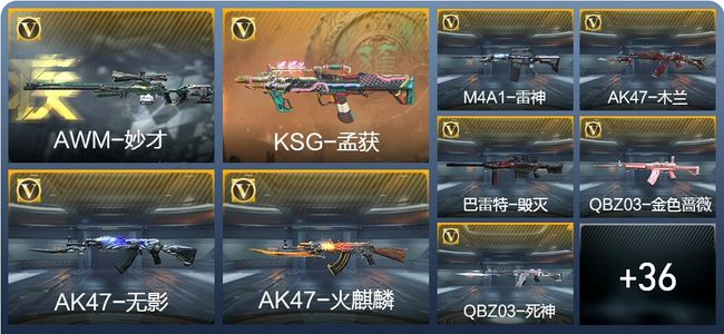 穿越火线：枪战王者V2 80英雄武器 新锐