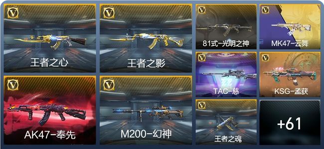 穿越火线：枪战王者V6 132英雄武器 新锐
