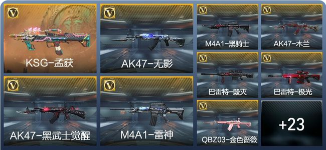 穿越火线：枪战王者V1 56英雄武器 新锐