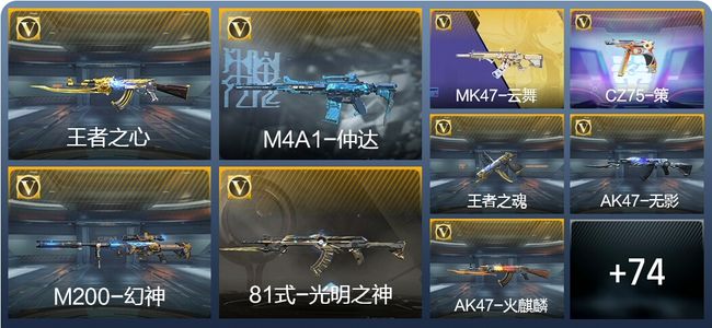 穿越火线：枪战王者V3 154英雄武器 新锐