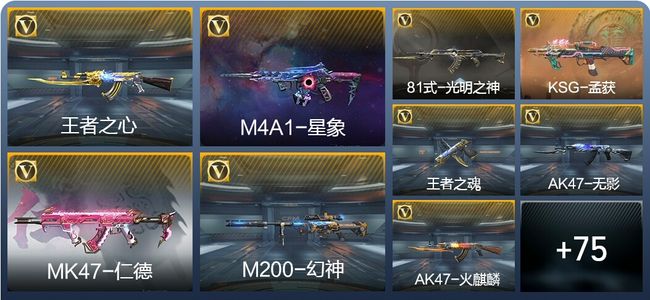 穿越火线：枪战王者V5 177英雄武器 新锐