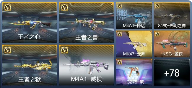 穿越火线：枪战王者V3 193英雄武器 新锐