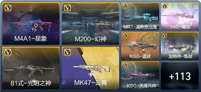 穿越火线：枪战王者V3 233英雄武器 新锐