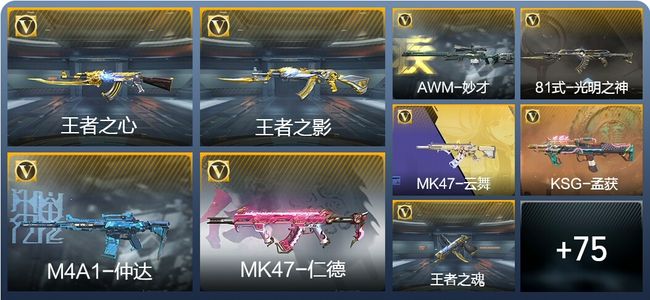 穿越火线：枪战王者V3 149英雄武器 新锐