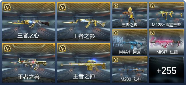 穿越火线：枪战王者V4 449英雄武器 新锐