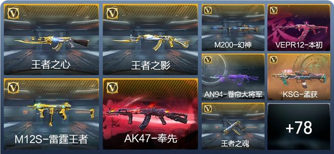 穿越火线：枪战王者V7 171英雄武器 新锐