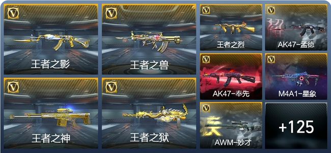 穿越火线：枪战王者V8 243英雄武器 新锐