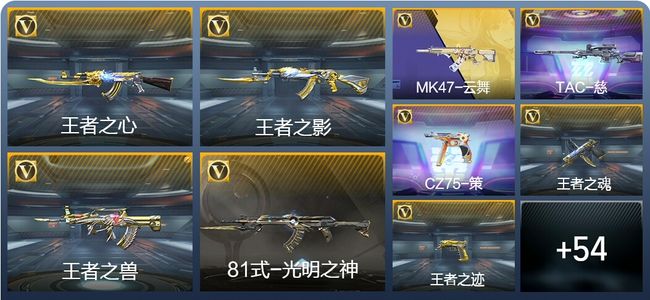 穿越火线：枪战王者V1 189英雄武器 新锐