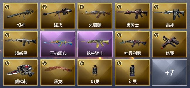 穿越火线（CF）1王者武器 1炫金武器 27V武器 14V角色 6皮肤 可排位