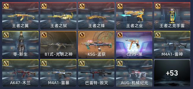 穿越火线：枪战王者V5 100英雄武器 新锐