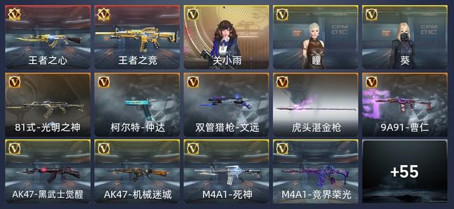 穿越火线：枪战王者V5 106英雄武器 新锐