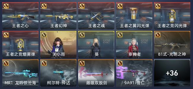 穿越火线：枪战王者V4 76英雄武器 新锐