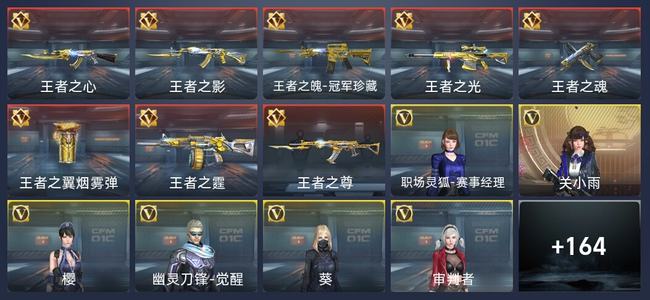 穿越火线：枪战王者V6 304英雄武器 新锐