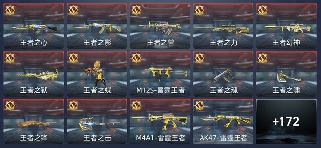 穿越火线：枪战王者V8 296英雄武器 新锐