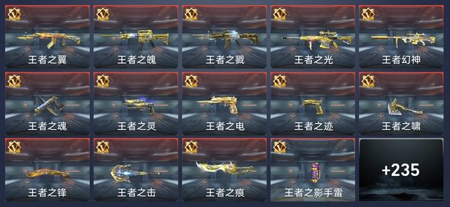 穿越火线：枪战王者V9 524英雄武器 新锐