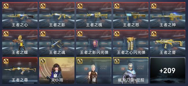 穿越火线：枪战王者V8 306英雄武器 新锐