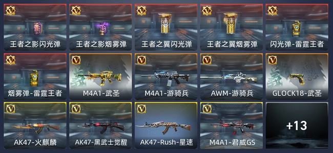 穿越火线：枪战王者V8 34英雄武器 新锐