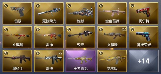 穿越火线（CF）2王者武器 23V武器 3V角色 9皮肤 可排位 新锐