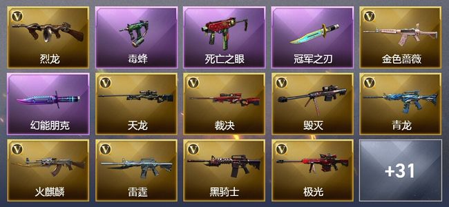 穿越火线（CF）1传说武器 3王者武器 14皮肤 可排位 新锐