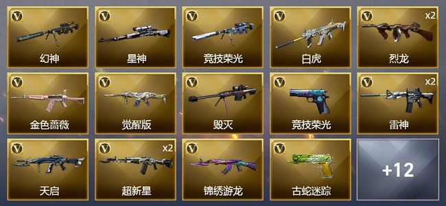 穿越火线（CF）26V武器 2V角色 12皮肤 可排位 枪王