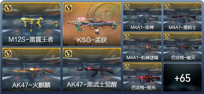 穿越火线：枪战王者1王者武器 75英雄武器 3英雄角色 143万化 专家S