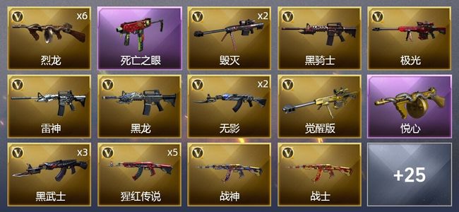 穿越火线（CF）1王者武器 48V武器 2V角色 12皮肤 可排位 新锐