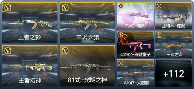 穿越火线：枪战王者8王者武器 121英雄武器 1英雄角色 249万化 枪皇SS