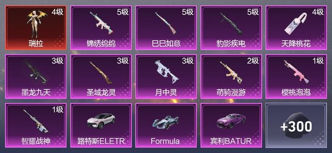 和平精英5载具 10升级枪 9粉装 5尾迹 153枪皮 138套装 64806热力 5印记 星钻