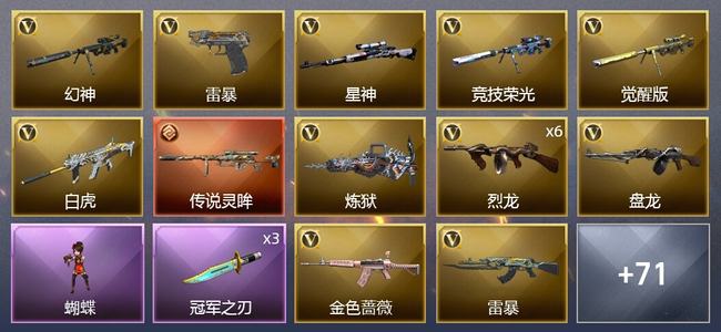 穿越火线（CF）1传说武器 2王者武器 2炫金武器 119V武器 5V角色 34皮肤 可排位 新锐