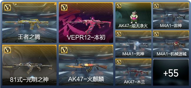 穿越火线：枪战王者2王者武器 64英雄武器 94万化 专家S