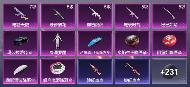 和平精英1载具 5升级枪 1粉装 137枪皮 102套装 43475热力 11印记 王牌