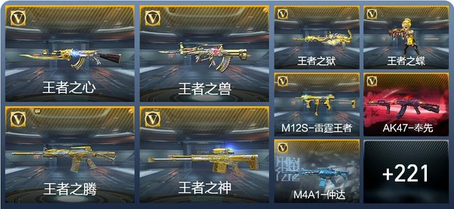 穿越火线：枪战王者V8 28王者武器 255英雄武器 5英雄角色 464万化 大师S